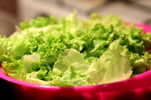 can-you-freeze-lettuce-3