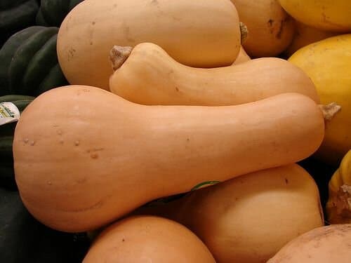 can-you-freeze-butternut-squash-2
