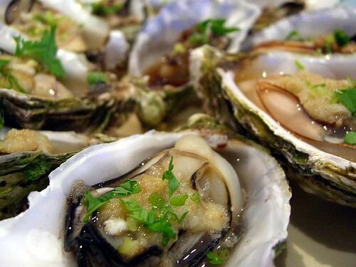 can-you-freeze-oysters-2